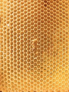 Cosa bisogna sapere prima di usare il miele per combattere la tosse