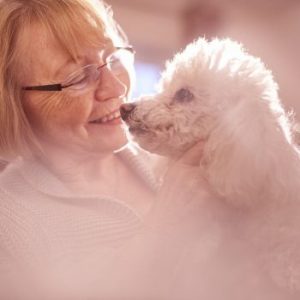 Come funziona la pet therapy con un cane