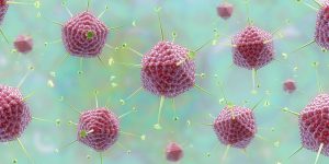 adenovirus Progetto Invito alla conoscenza scientifica I vaccini contro Covid-19 possono favorire l’infezione da HIV