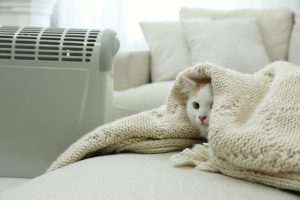 vivere in una casa fredda ha dei rischi per la salute