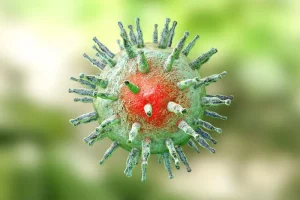 Rappresentazione grafica del virus Epstein-Barr (EBV)