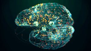 si può diagnosticare l’Alzheimer precocemente test