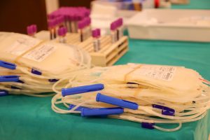 donare il plasma è importante quanto donare il sangue