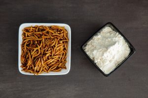 Insetti commestibili e farina proteica usati come ingredienti nei novel food e nelle proteine alternative.