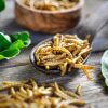 Larve della farina commestibili, uno degli insetti autorizzati come novel food nell’Unione Europea.