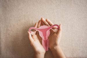Modello anatomico dell’utero e dell’endometrio mostrato da una donna, rappresentazione del tumore dell’endometrio e dell’apparato riproduttivo femminile