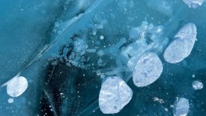 Primo piano di ghiaccio artico con bolle e inclusioni intrappolate nel permafrost, simbolo dei microrganismi conservati nei ghiacci.