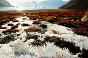 Paesaggio artico con permafrost in disgelo, corsi d’acqua e ghiaccio che si scioglie a causa del riscaldamento globale.
